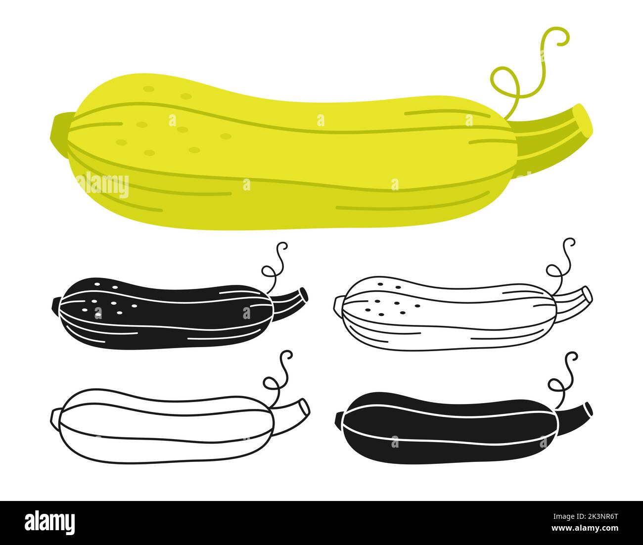 Zucchini Drawing For Kids