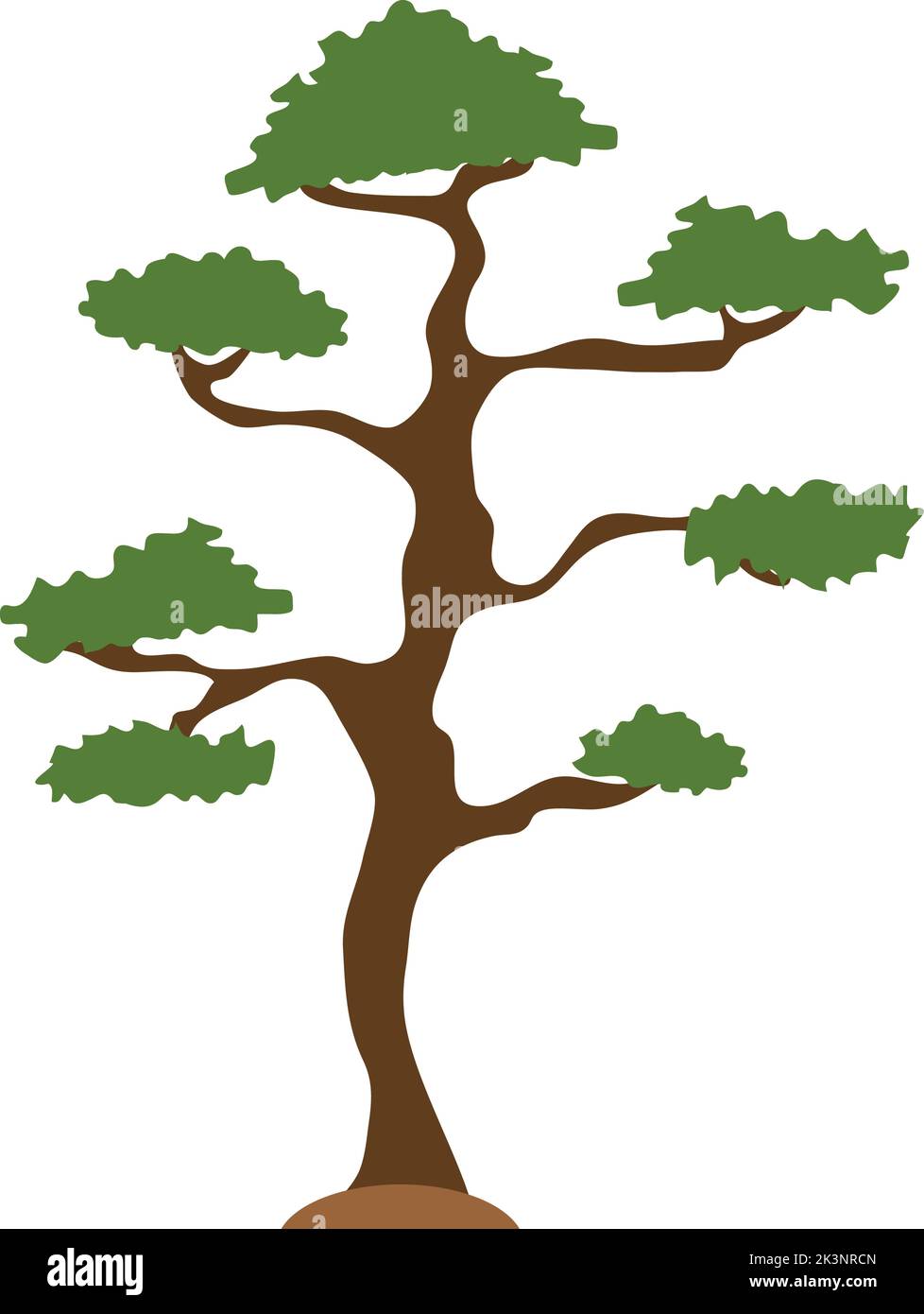 korean red pine Stock Vector Image &amp; Art - Alamy