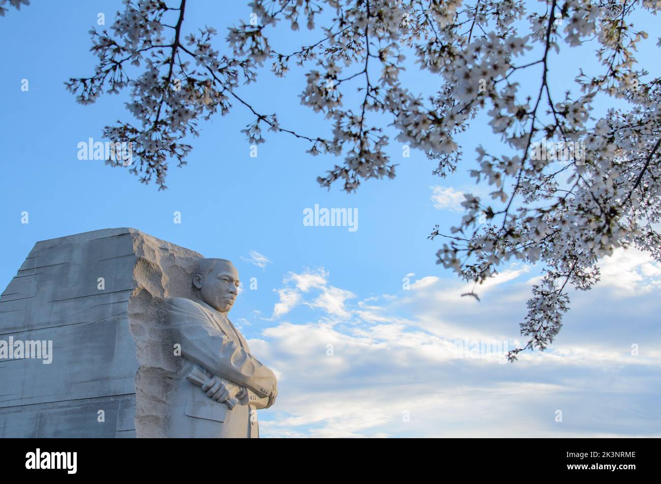 Stunning His Statue Can Be Found Around Dc Tidal Basin Nyt Background Nature Stunning His Statue Can Be Found Around Dc Tidal Basin Nyt Background Nature