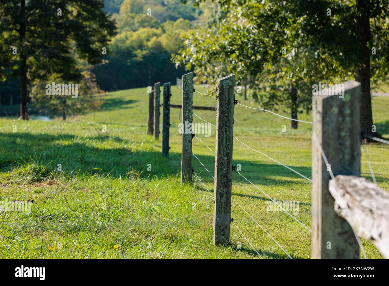 Natural fences hi-res stock photography and images - Alamy