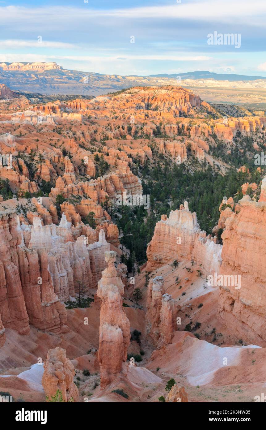 The Hoodoos of Bryce Canyon National Park in Utah, USA. Stock Photo