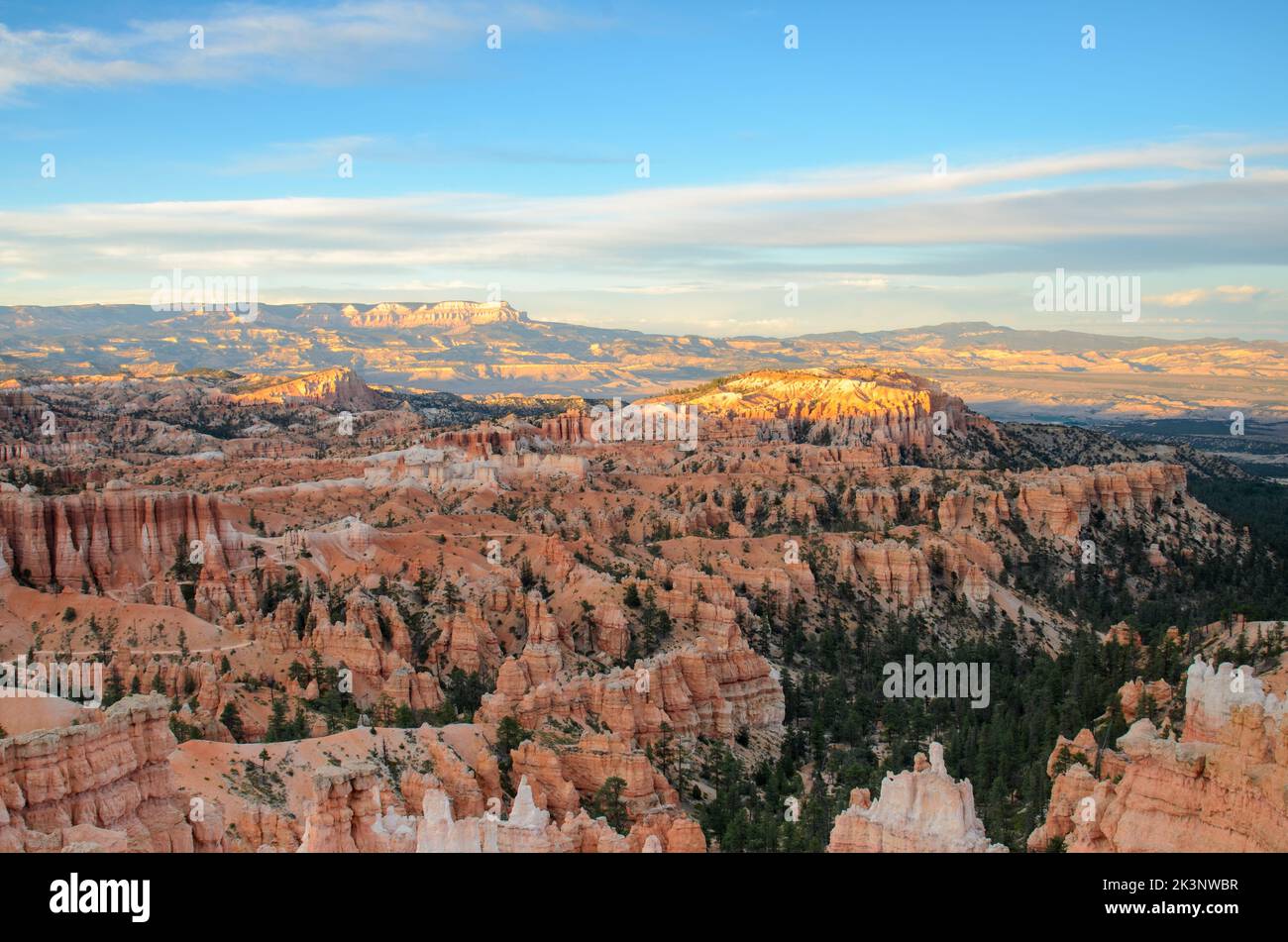 The Hoodoos of Bryce Canyon National Park in Utah, USA. Stock Photo