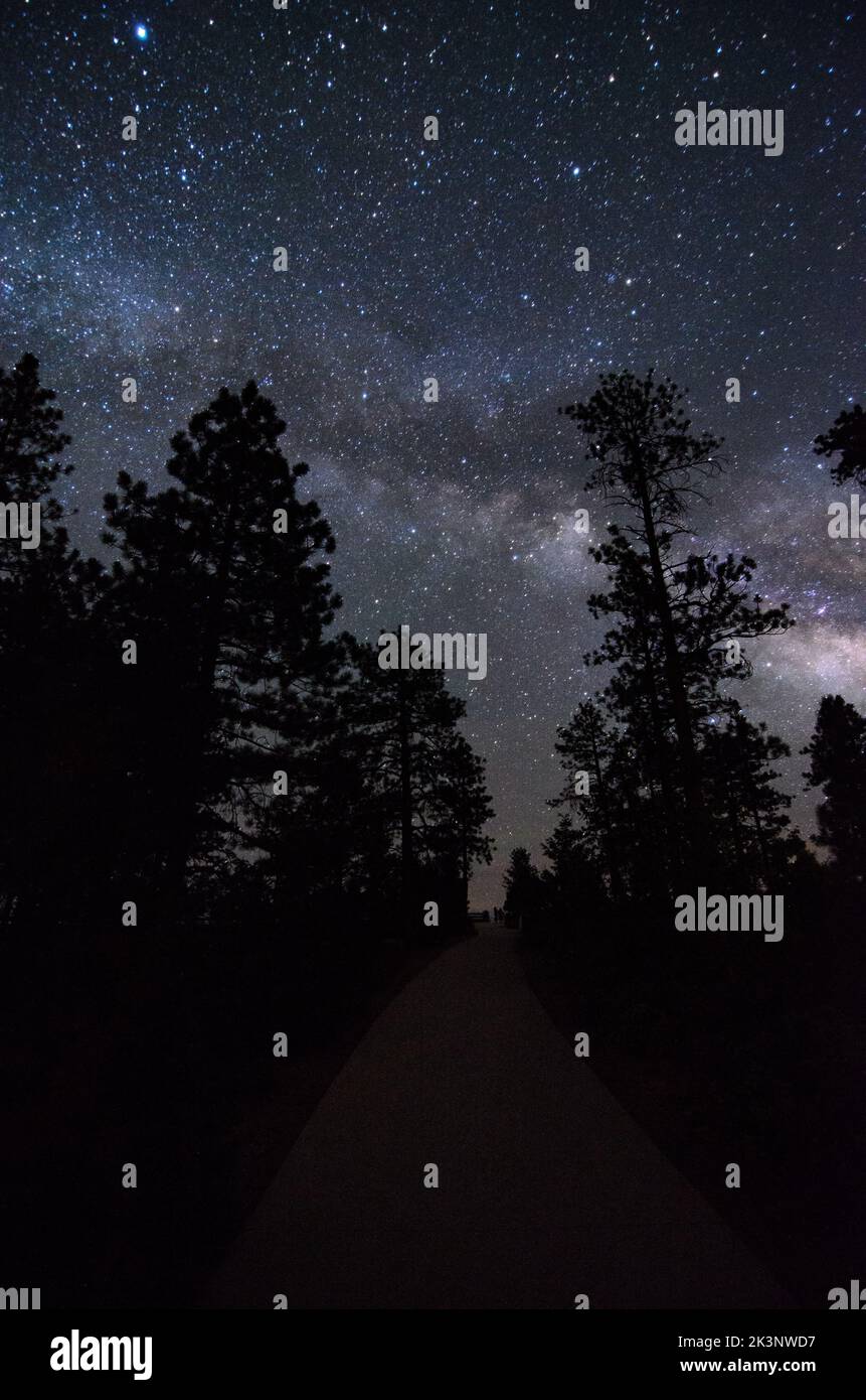 The Milky Way and the night sky as seen from the dark skies of Bryce