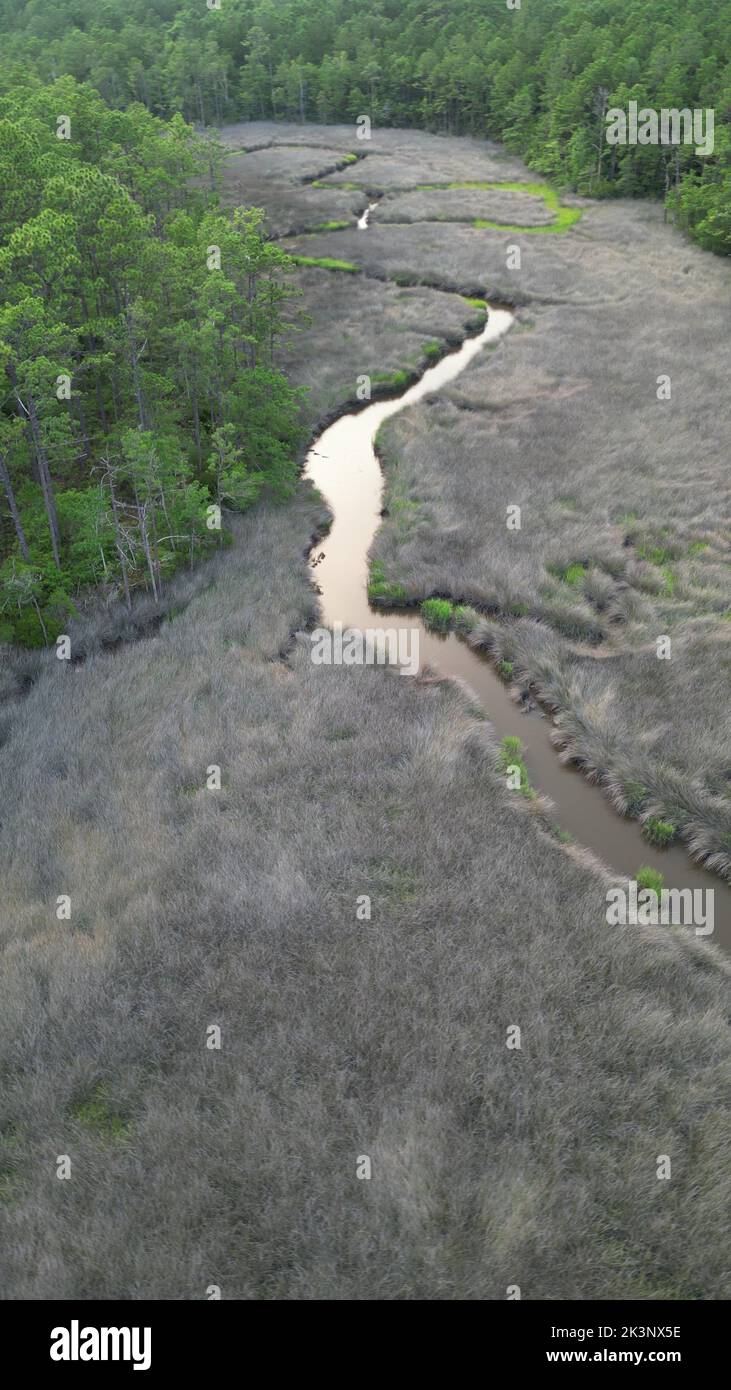 The small narrow creek through the forestland, vertical, aerial Stock Photo