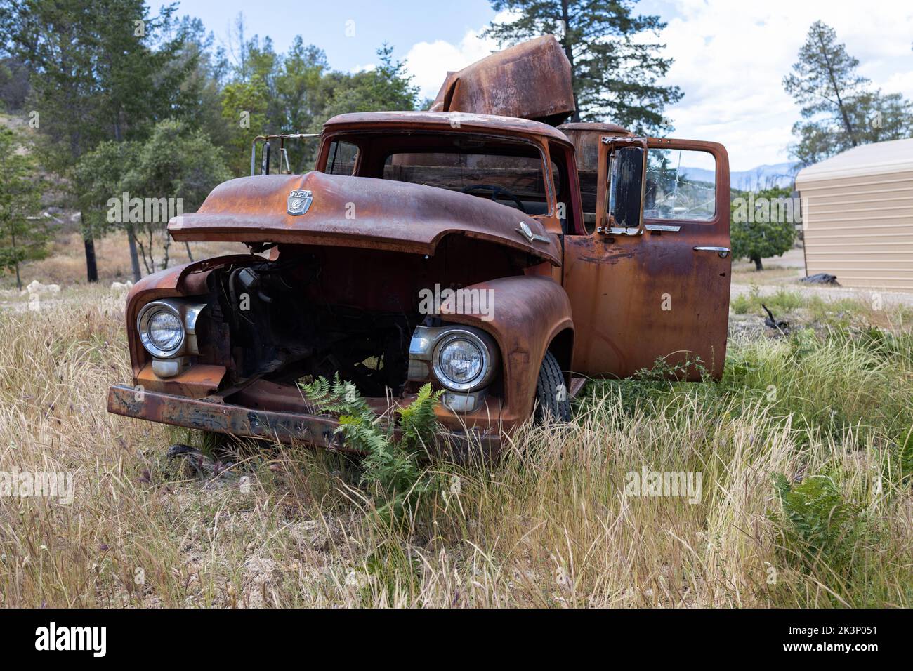 The old ruined Ford truck in the field, close-up Stock Photo