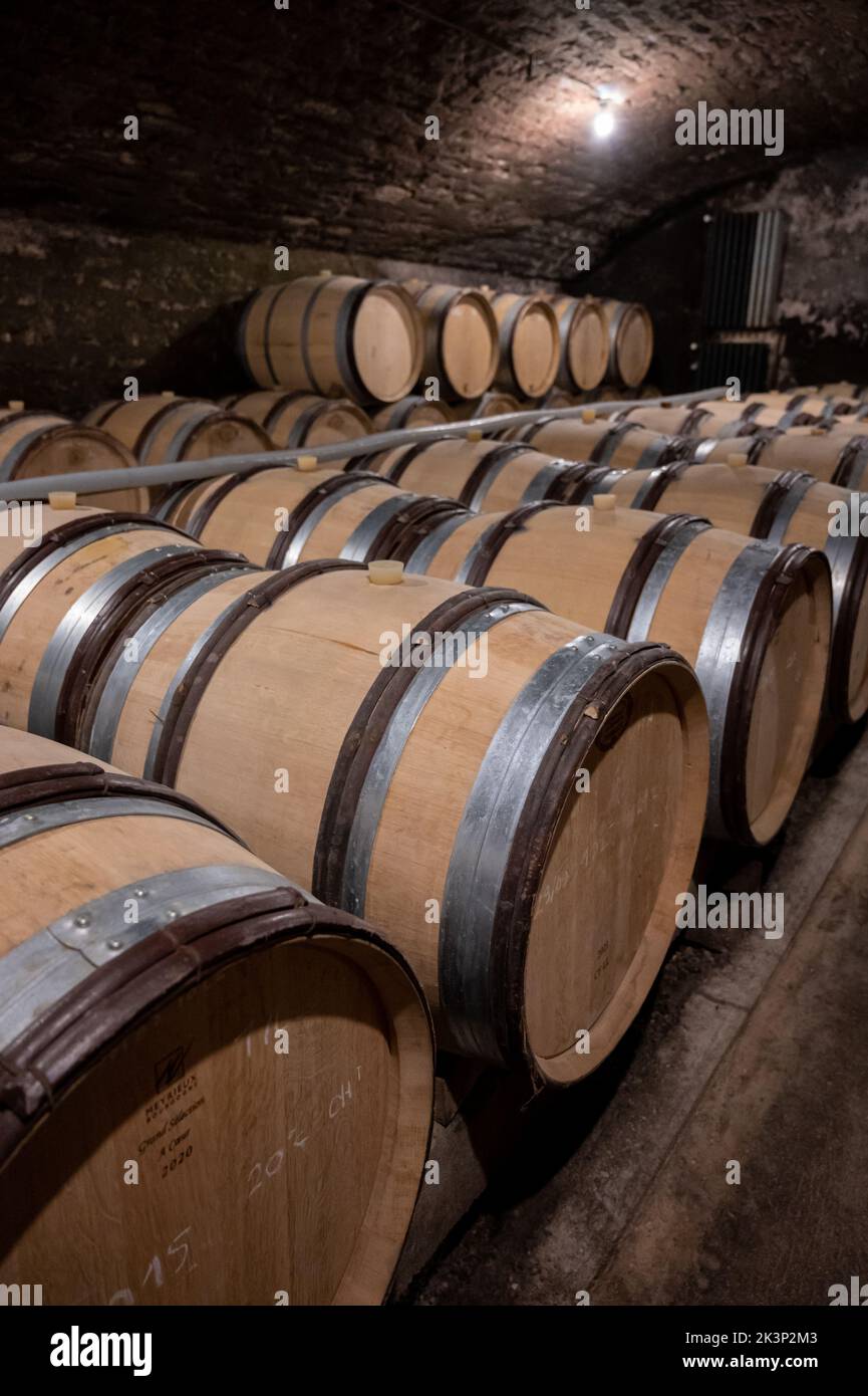 Stages of wine production from fermentation to bottling, visit to wine ...