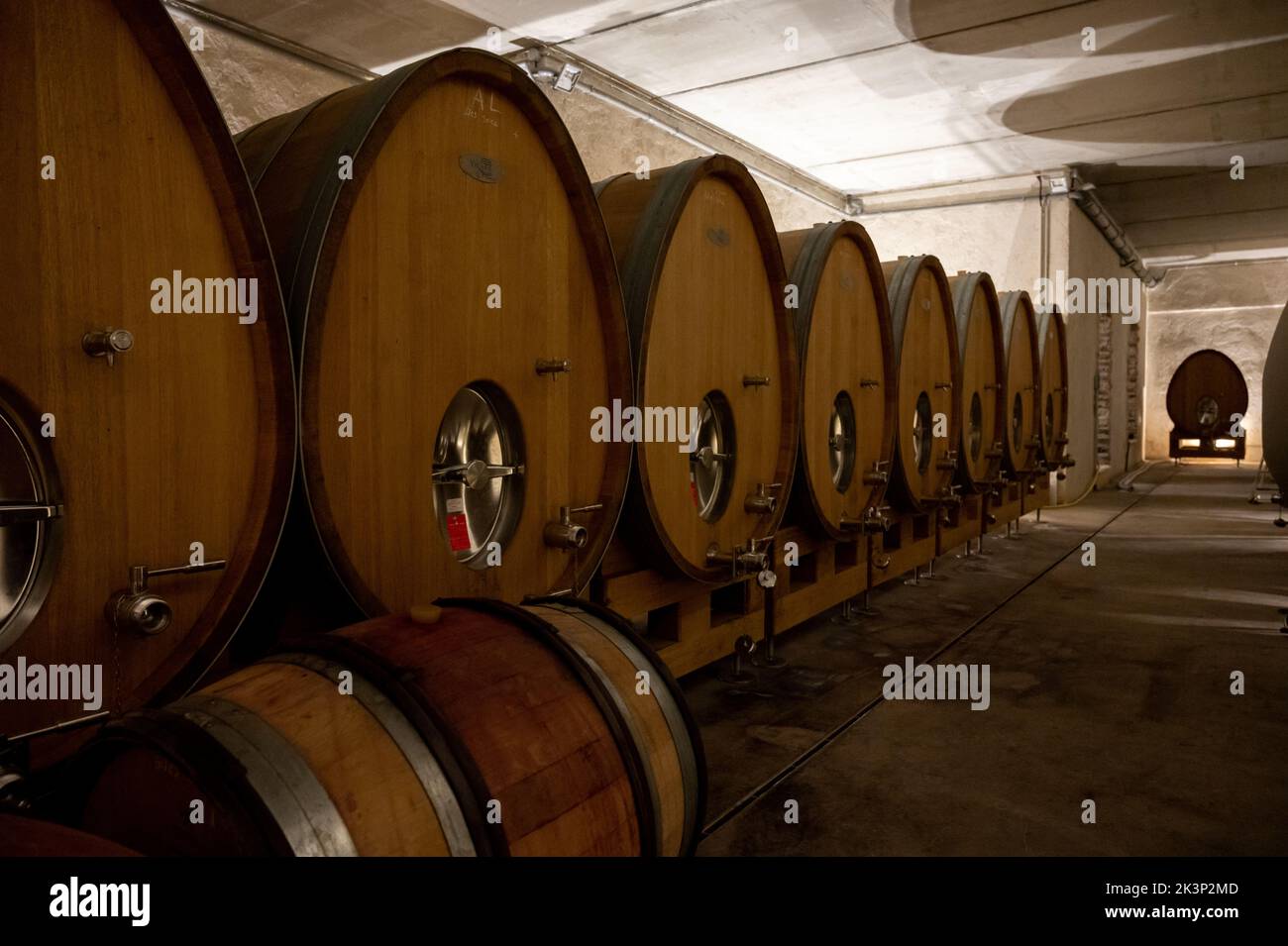Stages of wine production from fermentation to bottling, visit to wine