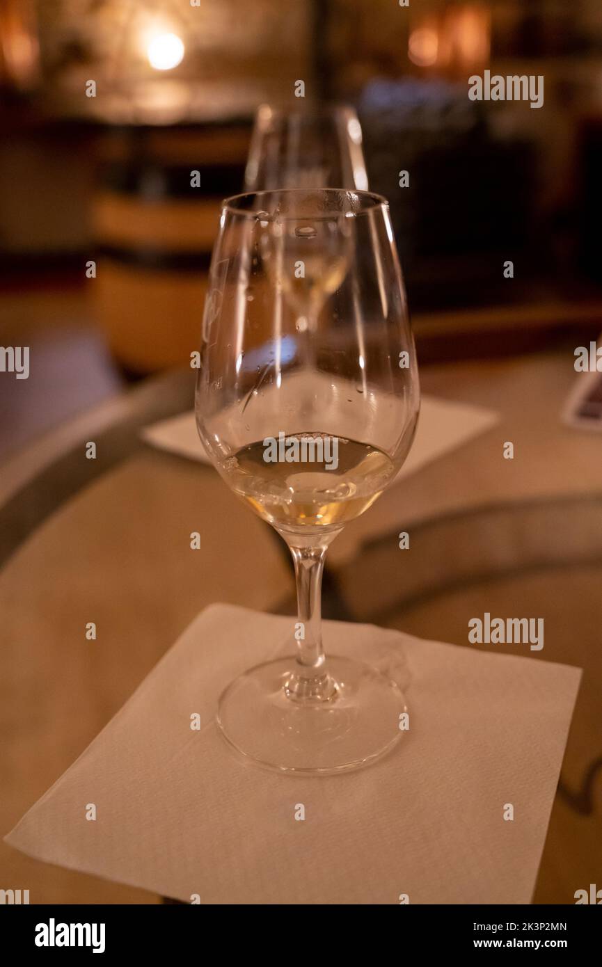 White wine tasting in underground cellars caves of French wine domain