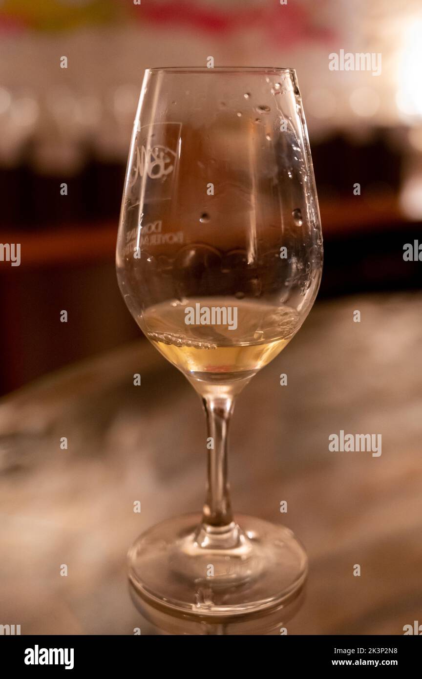 Wine tasting in underground cellars caves of French wine domain in