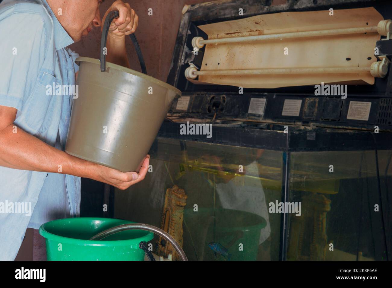 a male aquarist changing water in a fish tank, indoor shot Stock Photo