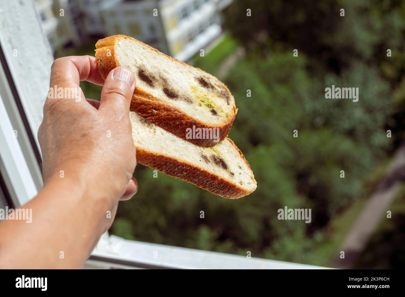 a hand throwing spoiled mouldy bread out of the window Stock Photo