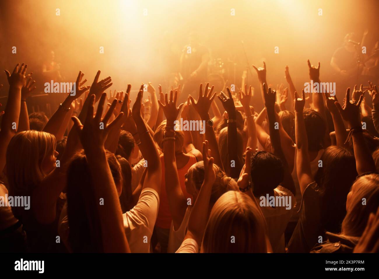 Die hard fans. Rearview of a crowd at a music gig with their hands raised in the air. Stock Photo