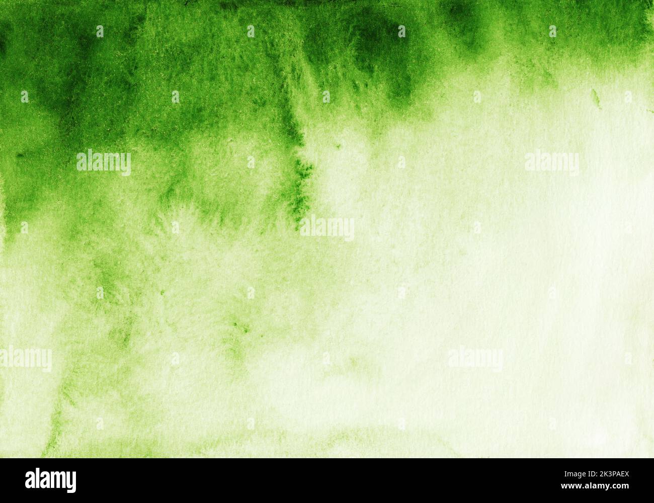 599,743 Green White Gradient Images, Stock Photos, 3D objects, & Vectors