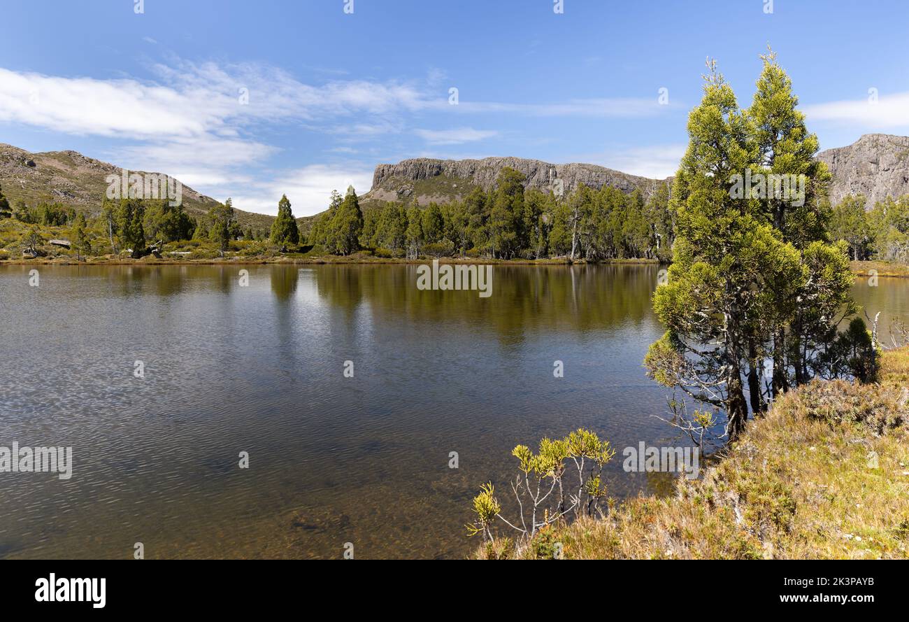 summer morning shot of the pool of siloam and pencil pines at walls of jerusalem Stock Photo