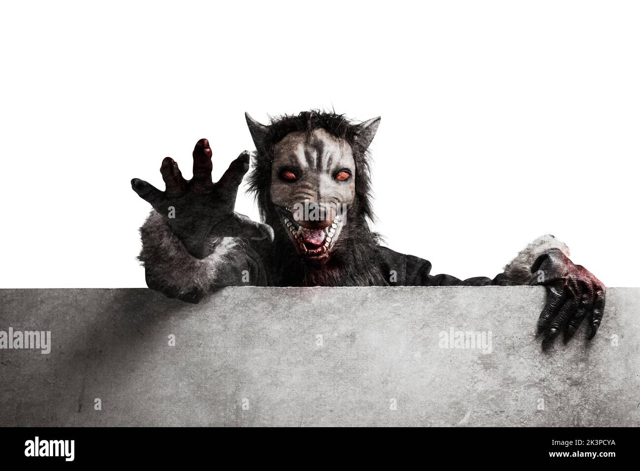 Werewolf coming from behind the wall isolated over white background Stock Photo