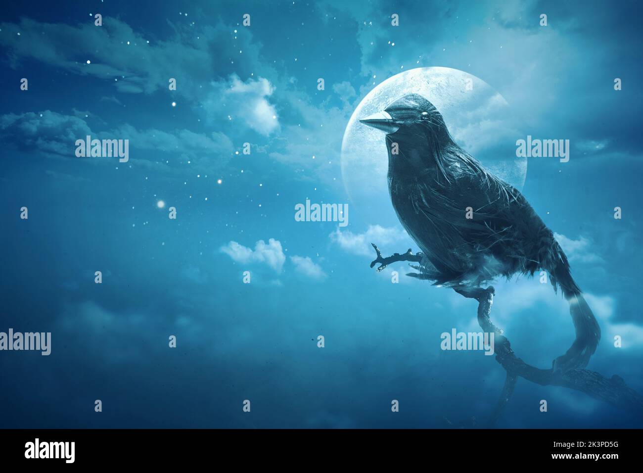 Crow with full moon on the night Stock Photo