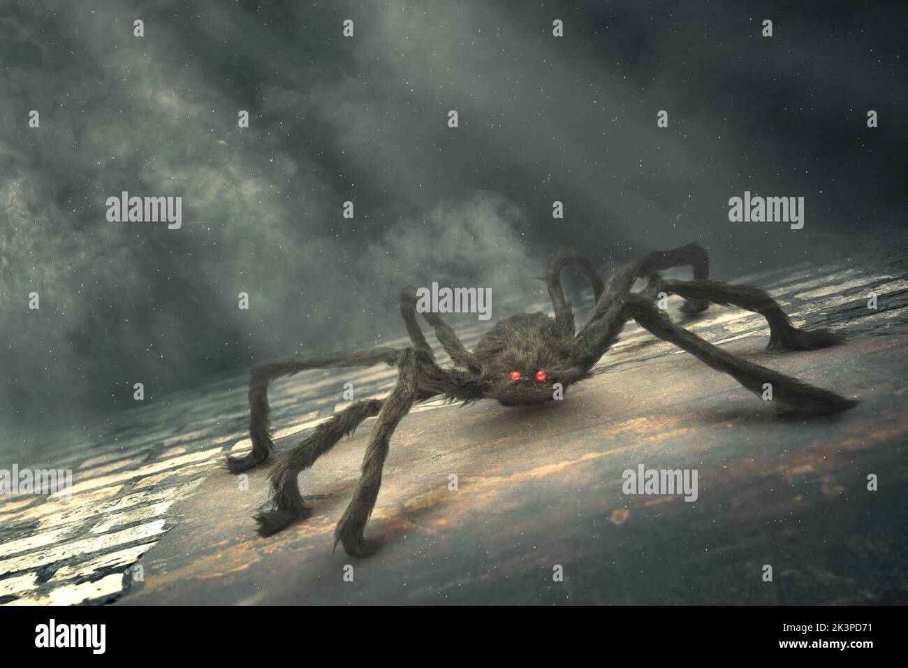 Black spider with black wall background Stock Photo