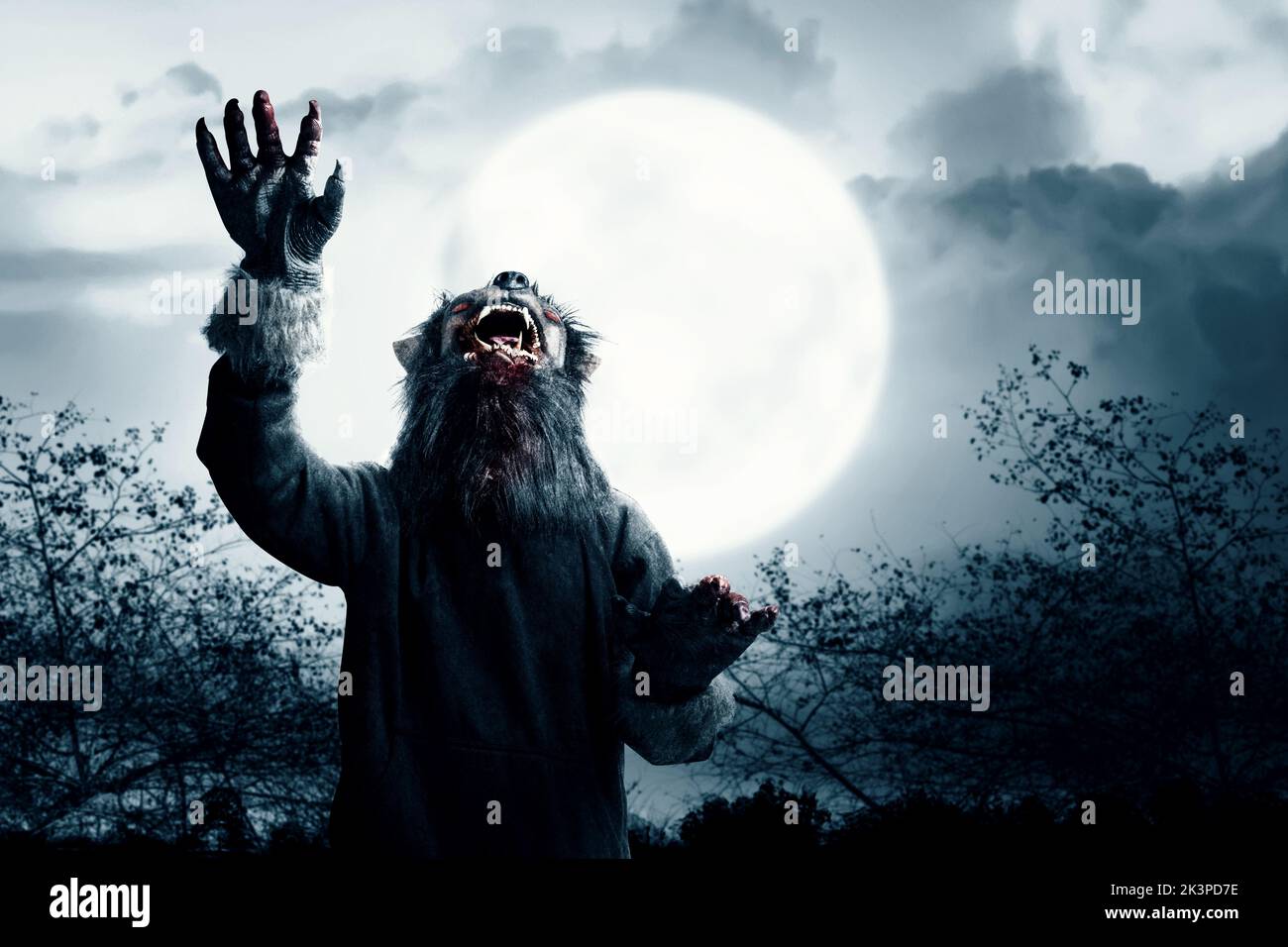 A werewolf with a full moon and night scene background. Halloween concept Stock Photo