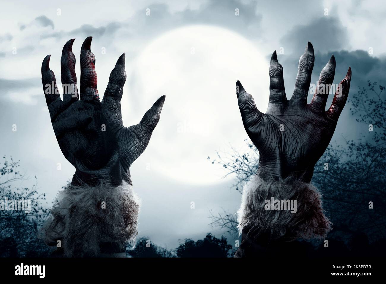 Werewolf hand with a full moon and night scene background. Halloween concept Stock Photo