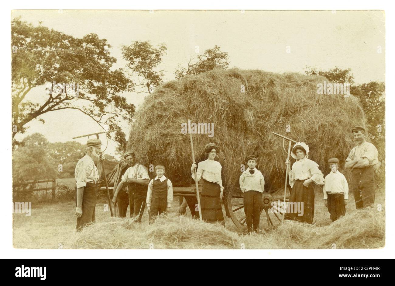 Original evocative Edwardian postcard of family all helping at harvest time, posted / dated September 1906, Livesey, Blackburn, Lancashire, England, U.K. Stock Photo