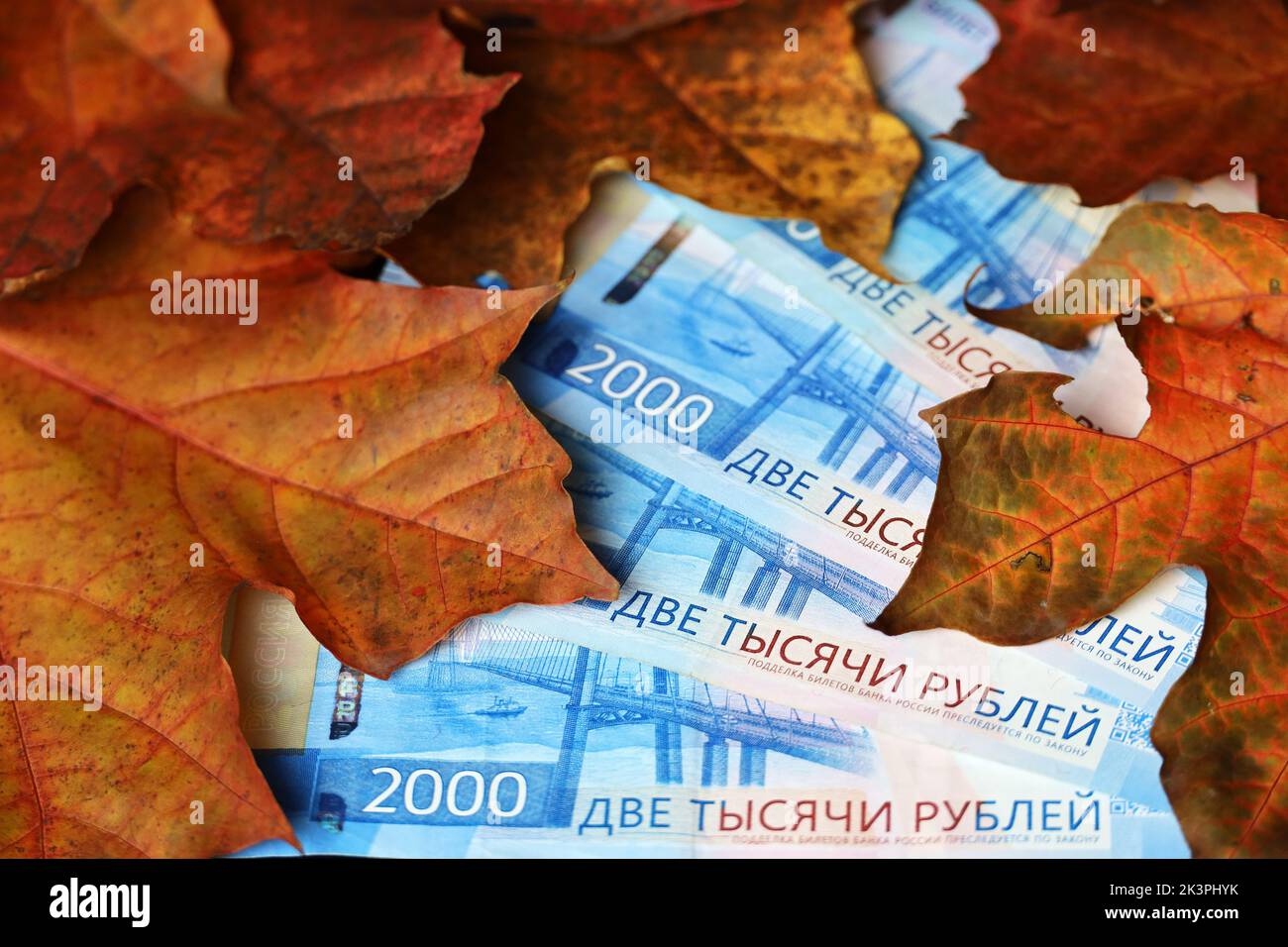Russian rubles in banknotes covered with red and orange maple leaves. Economy of Russia at autumn, exchange rate Stock Photo