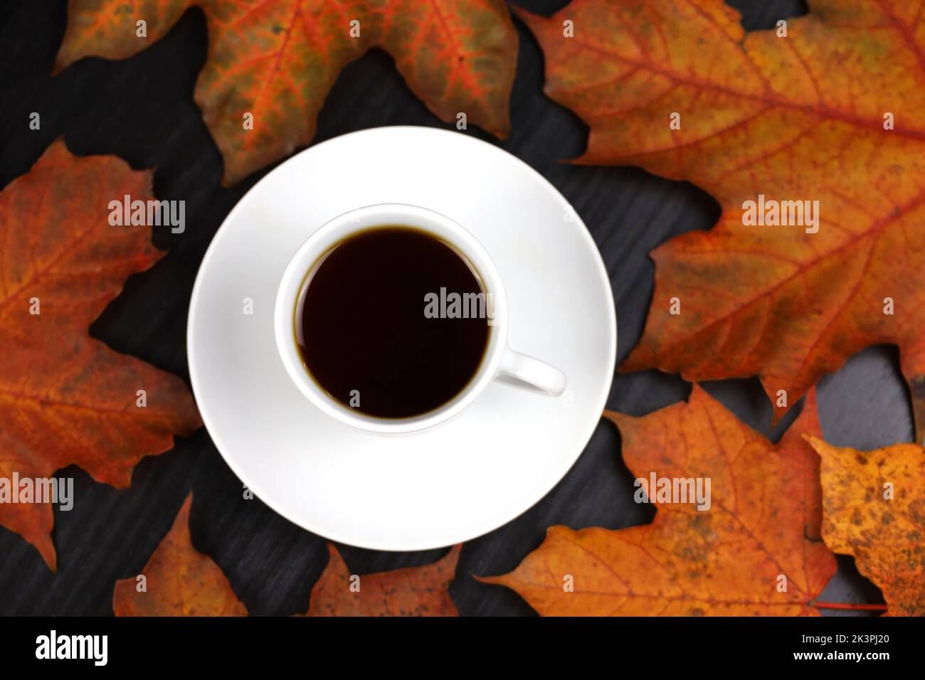 White cup of coffee or tea with saucer on red maple leaves and black table. Hot drink in autumn weather Stock Photo