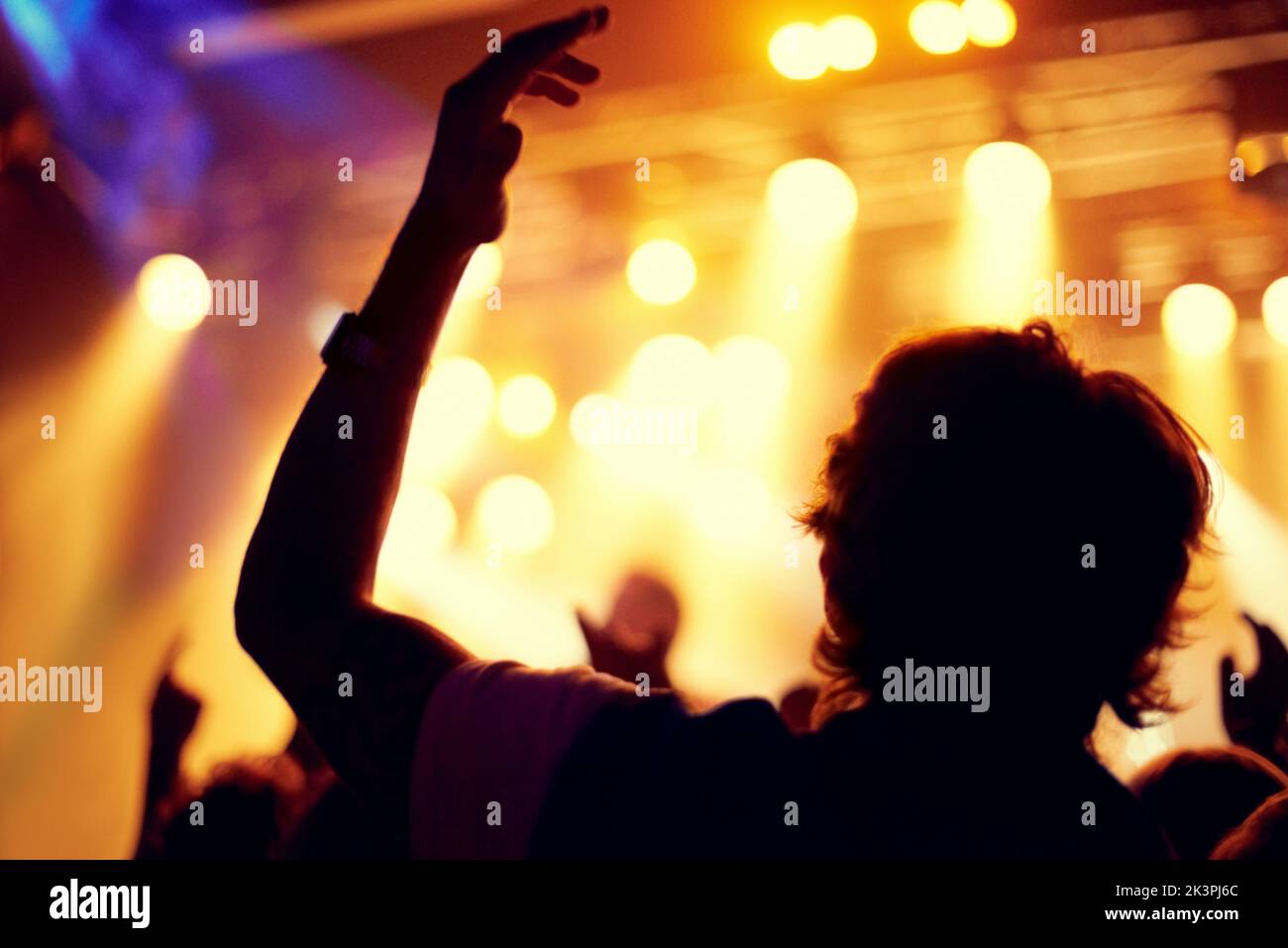 Cheering on their favourite band. A young man cheering on his favourite band with a crowd of excited people. Stock Photo