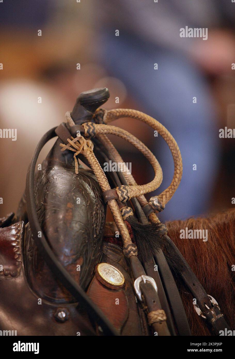 A vertical closeup shot of a bridal hanging over a horse saddle horn