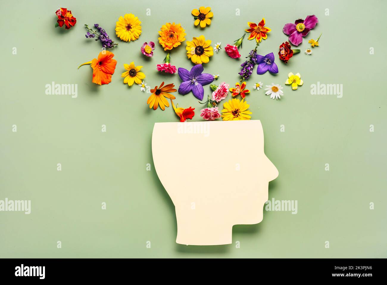 Mental health concept. Paper cut human head symbol and flowers on a
