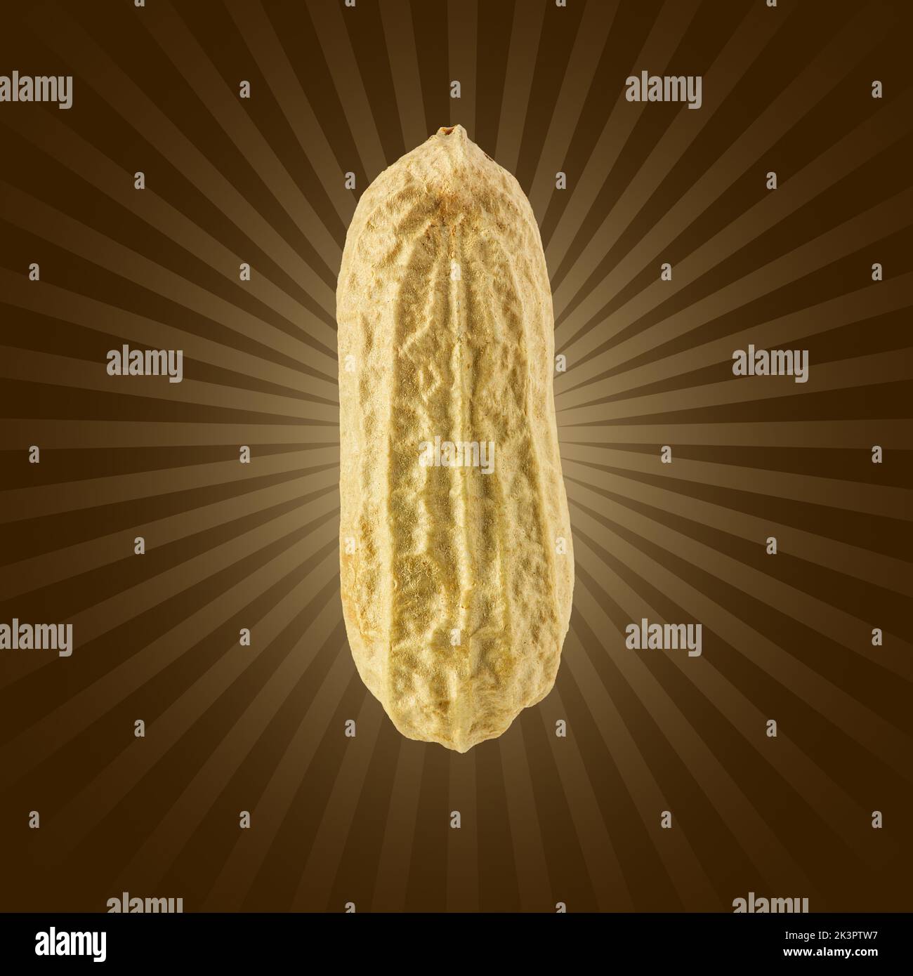 Peanuts on brown gradient background. used for design element, packaging design Stock Photo
