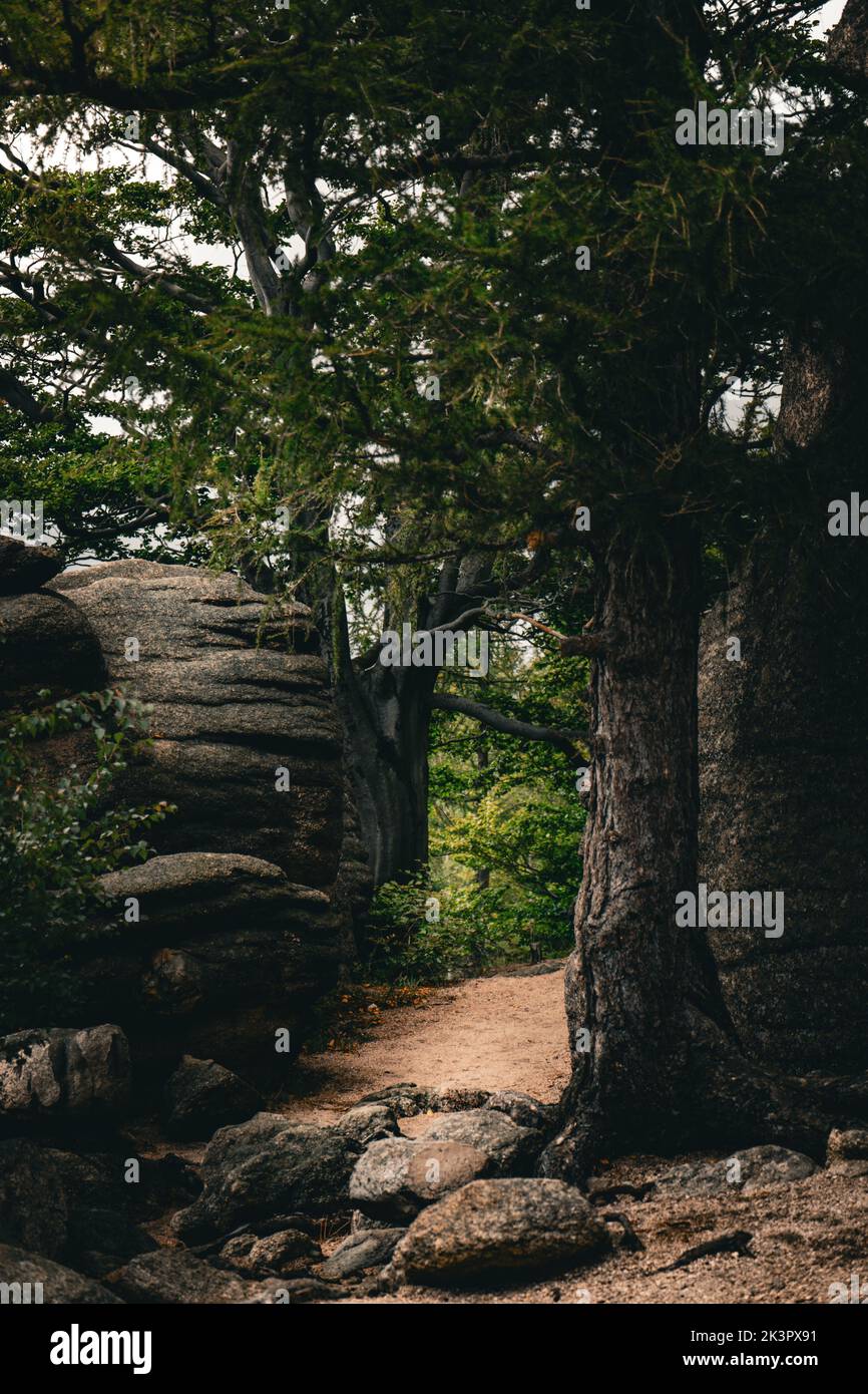 Path Between The Rocks Trekking path between rocks hi-res stock photography and images - Alamy