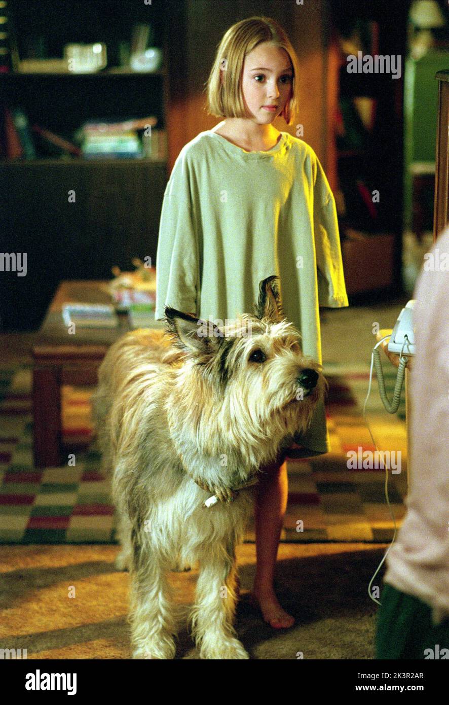 Because Of Winn Dixie Book Hi res Stock Photography And Images Alamy Because Of Winn Dixie Book Hi res Stock Photography And Images Alamy