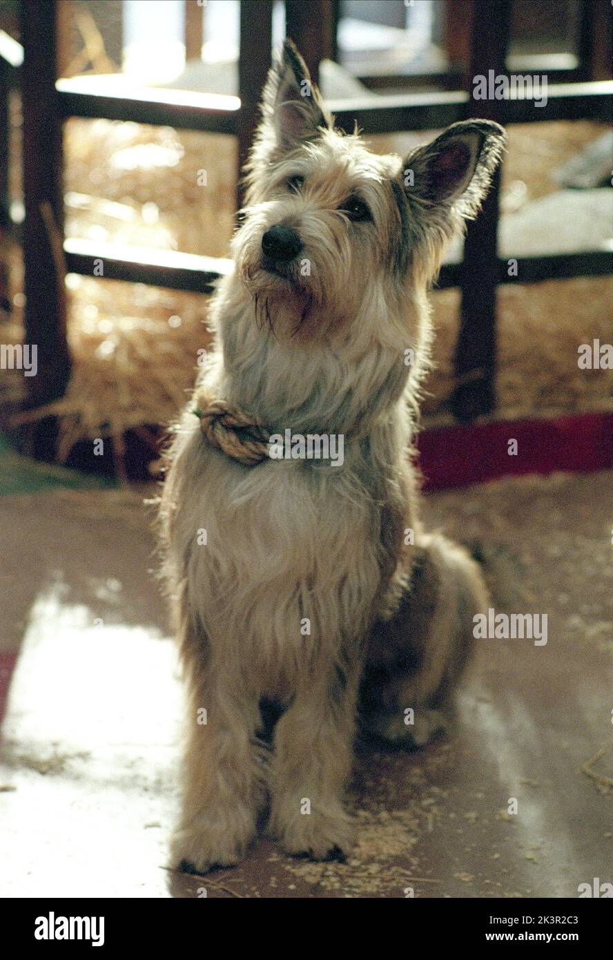 Because Of Winn Dixie Dog Dies