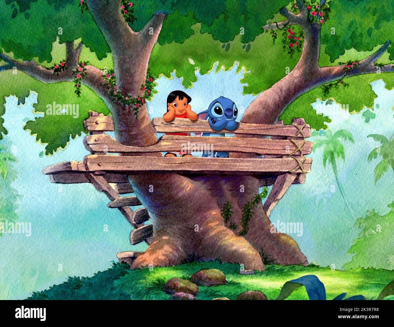 Jumba jookiba pleakley lilo stitch hi-res stock photography and images -  Alamy