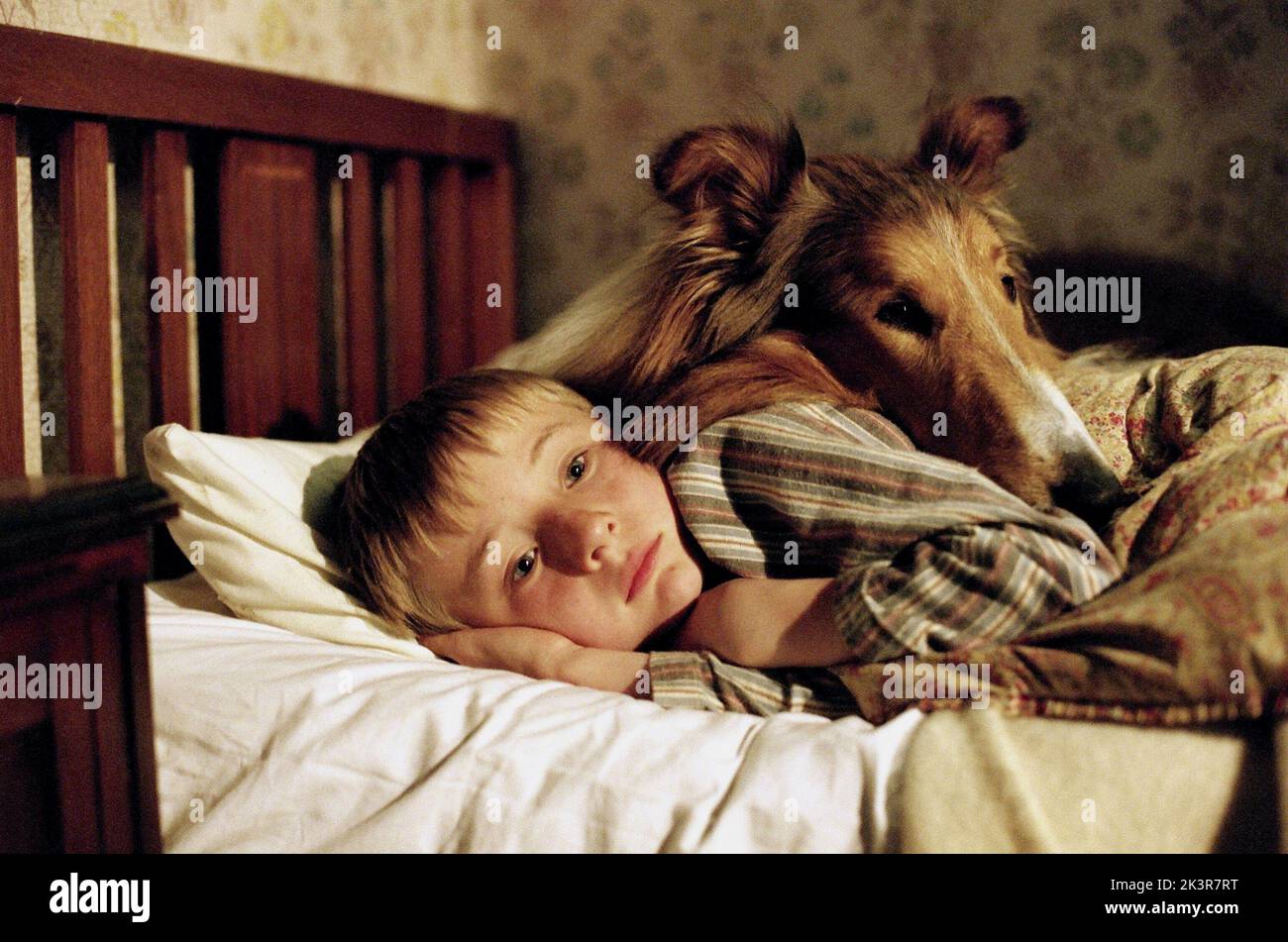 Lassie, movie, 2005