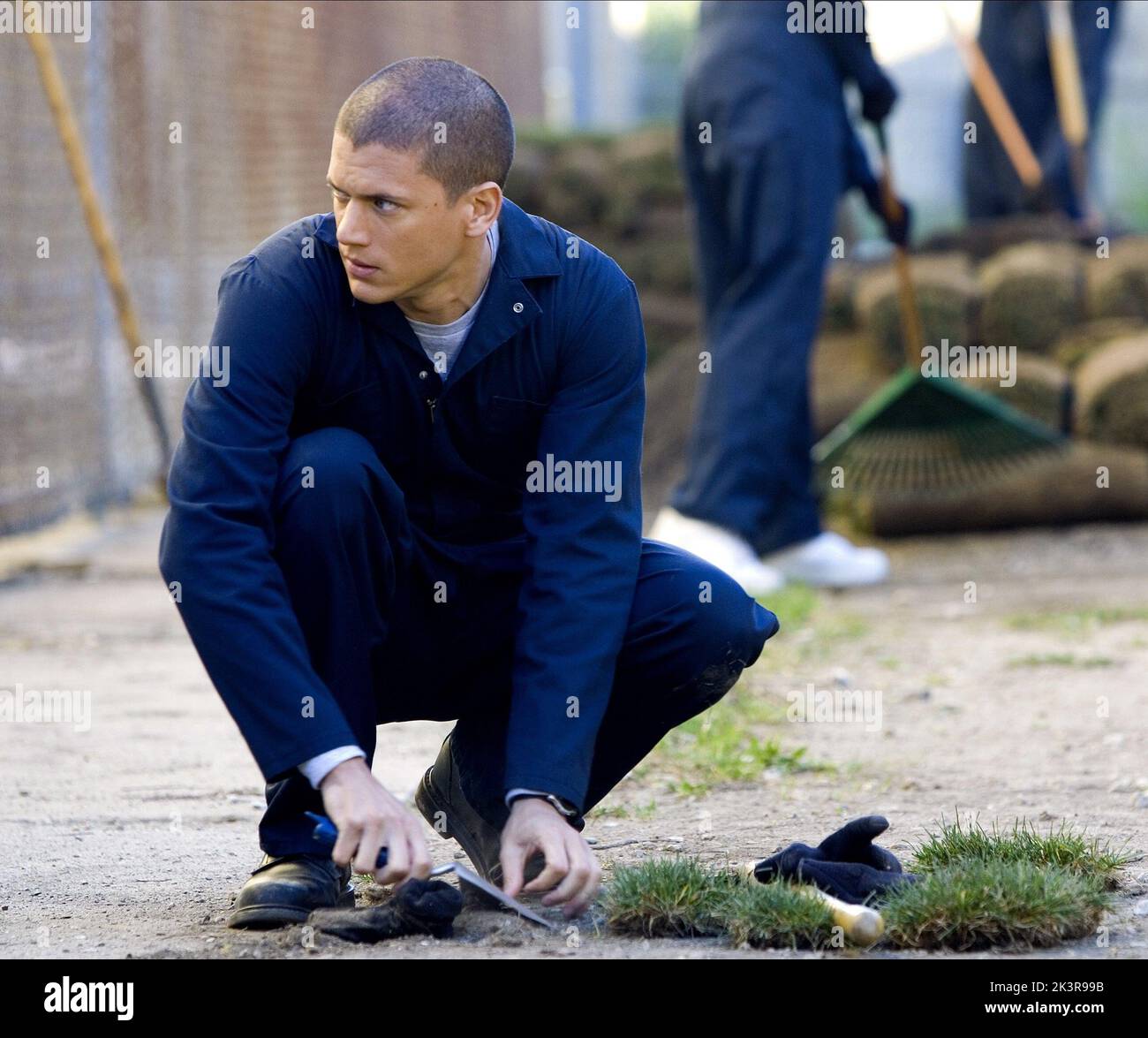 Prison Break Saison 1 Distribution Prison break wentworth miller hi-res stock photography and images - Alamy