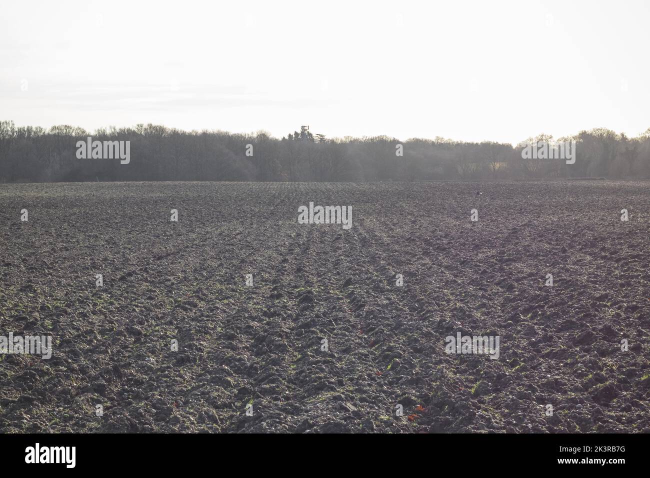 Agriculture fields in winter. English countryside in Welwyn Garden City, Hertfordshire Stock Photo