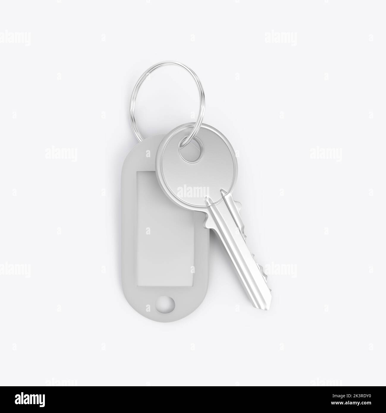 Plastic Key Tag Mockup. 3D render Stock Photo Alamy