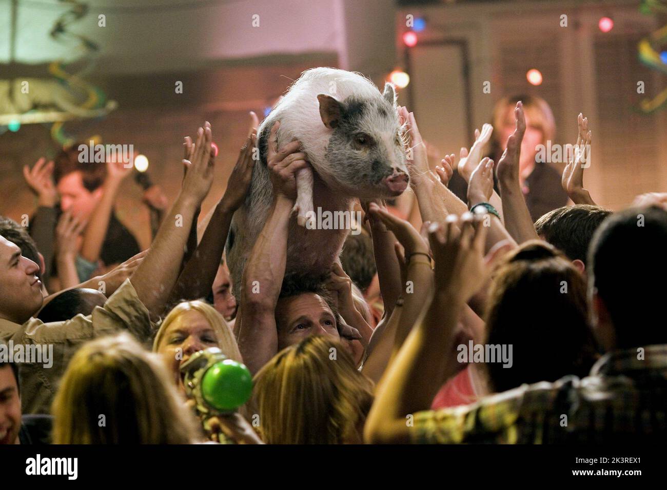 The pig film hi-res stock photography and images - Alamy, image size:1300x956