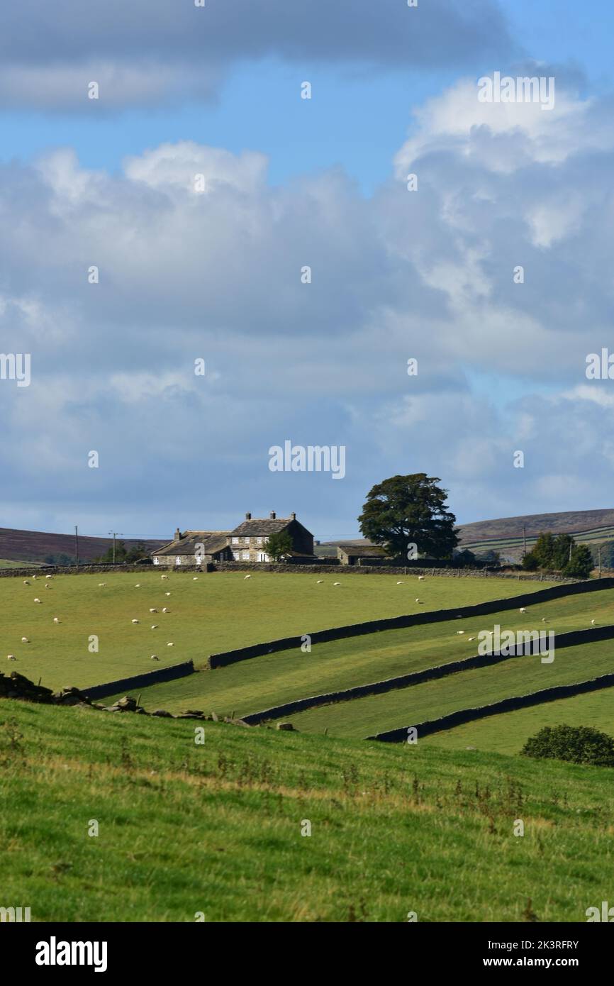 Farm house, Haworth Moor, Autumn,  Bronte Country, West Yorkshire Stock Photo