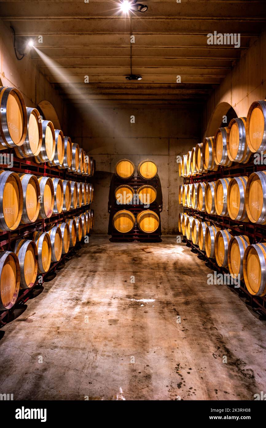 Wine cellar. Wine barrels in a winery in Spain. Vertical view. Stock Photo