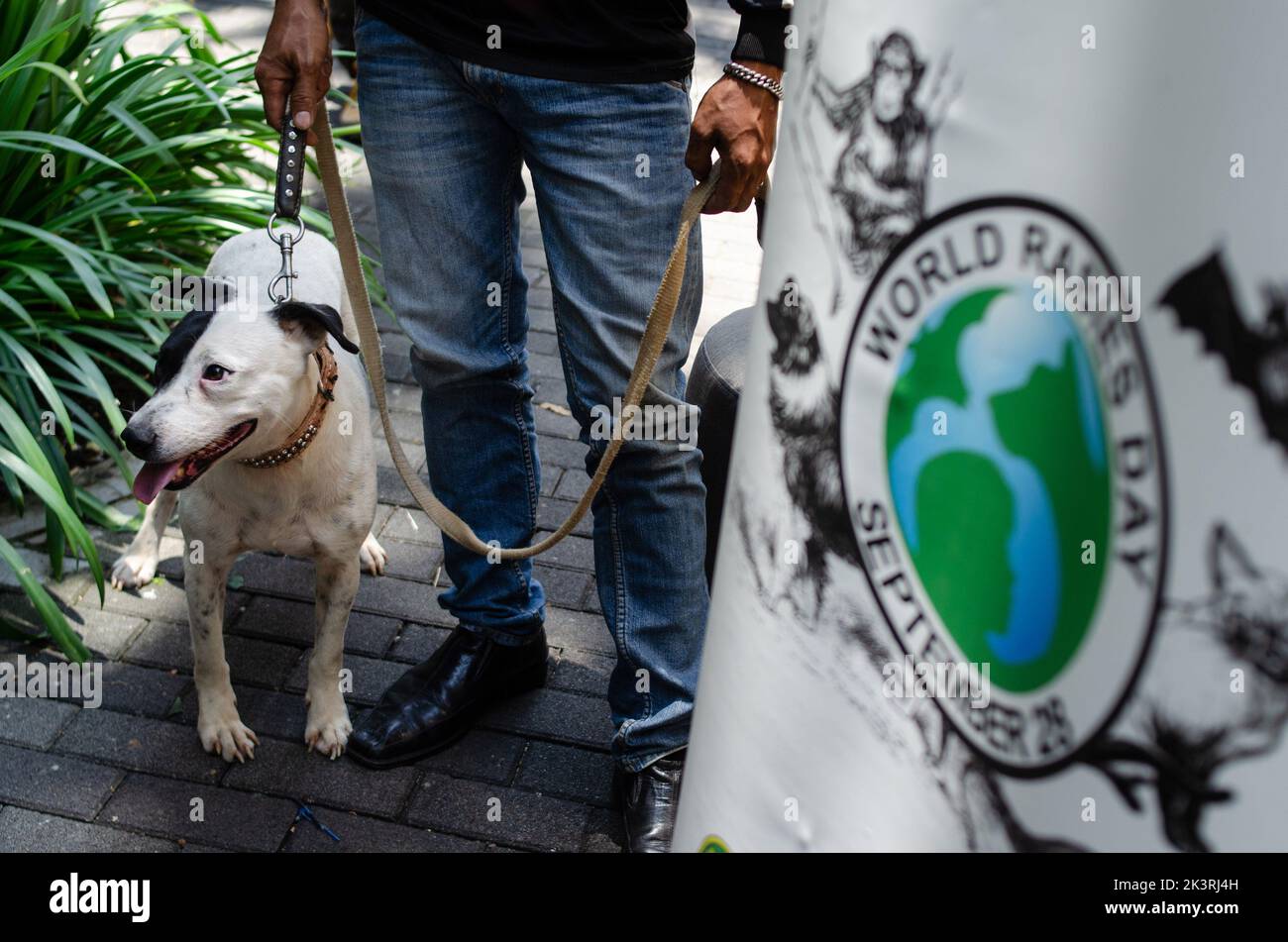 Bandung, Indonesia. 28th Sep, 2022. A man takes his dog to receive a dose of rabies vaccine in Bandung, West Java, Indonesia, Sept. 28, 2022. World Rabies Day is observed annually to raise awareness of rabies prevention and to highlight progress in defeating the disease. Credit: Septianjar/Xinhua/Alamy Live News Stock Photo