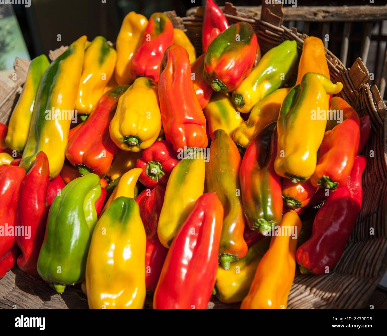 Horn peppers from Carmagnola (Turin) exhibited at the Salone del Gusto 2022 Stock Photo