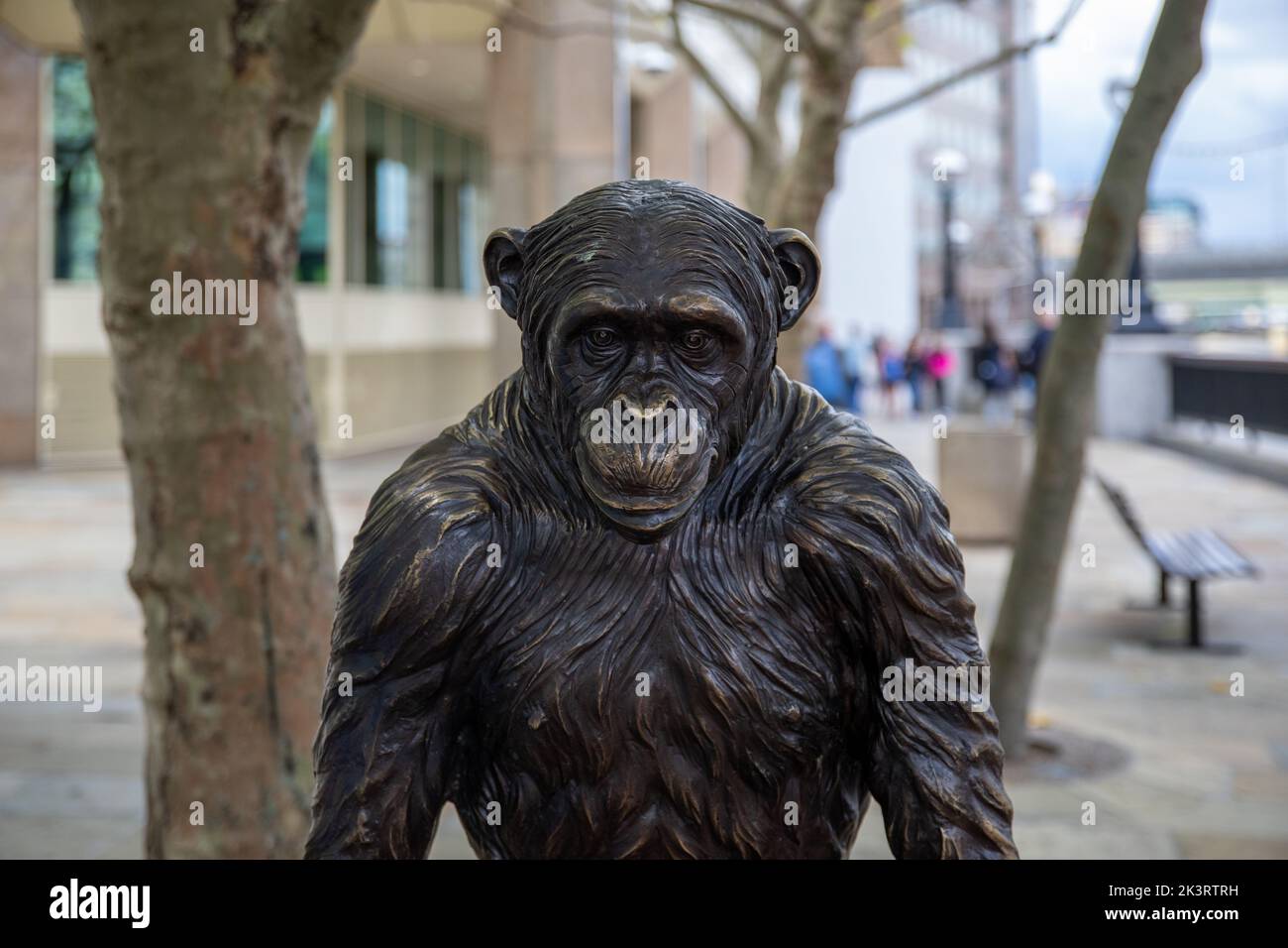 A sculpture of a chimpanzee from the Chimps are Family exhibition at