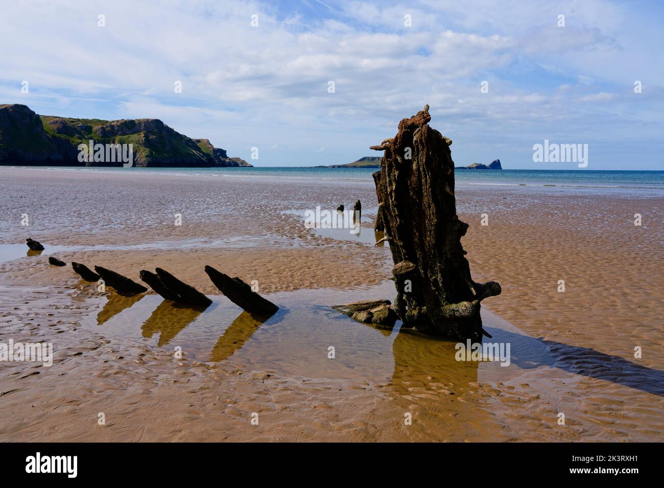 Last remaining oak timbers of the sailing ship Helvetica revealed at