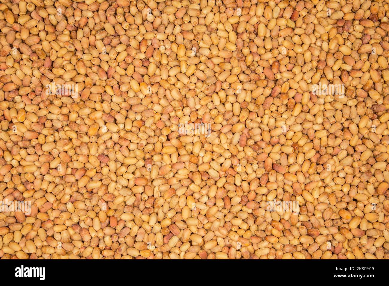 From the fruits of Madinah Al-Munawwarah dates, Kingdom of Saudi Arabia ...