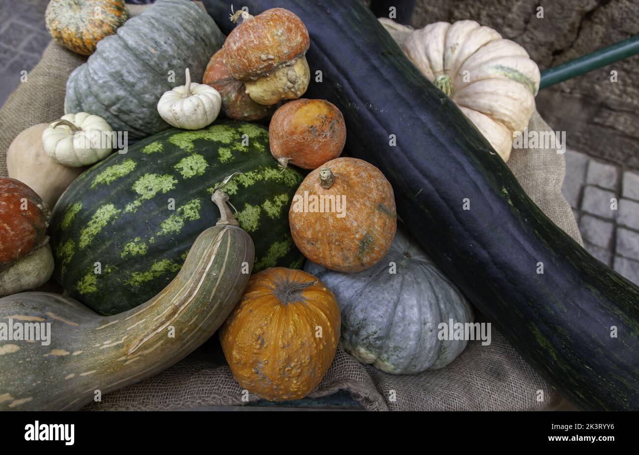 Detail of different types of pumpkins in market Stock Photo - Alamy