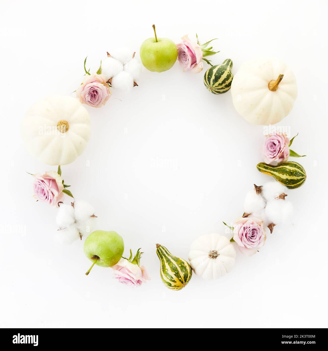 Autumn frame. Pumpkins, flowers, apples on white background. Autumn, fall, thanksgiving day concept. Flat lay. Stock Photo