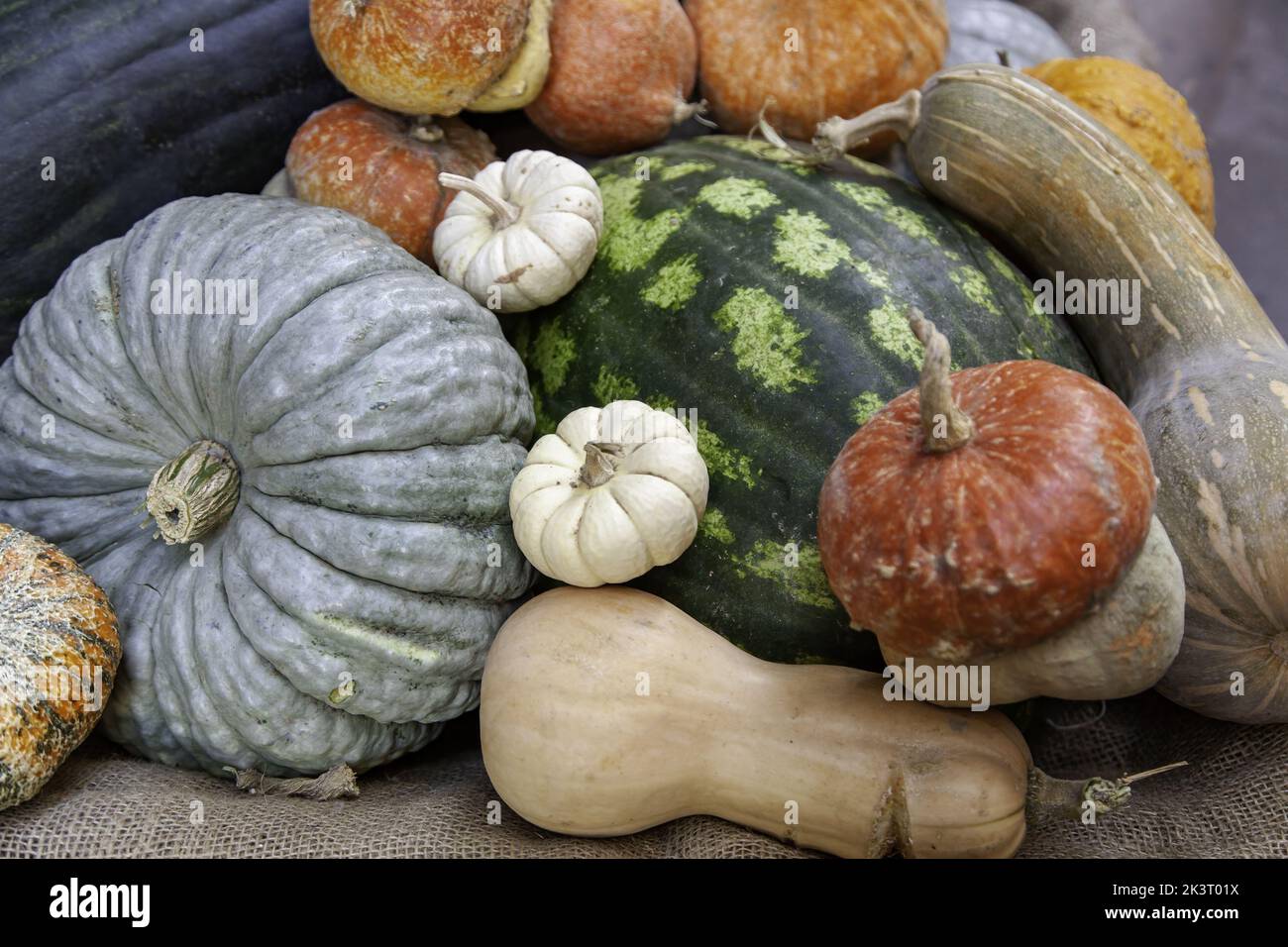 Detail of different types of pumpkins in market Stock Photo