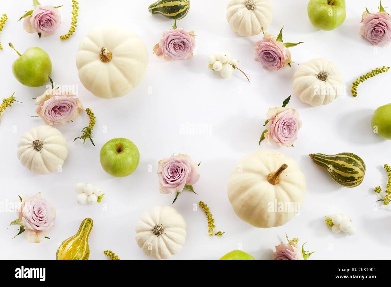 Autumn composition. Pumpkins, flowers, apples on white background. Autumn, fall, thanksgiving day concept. Flat lay. Stock Photo